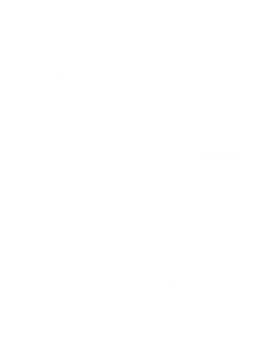 Mo's StoneX Lifetime Warranty badge