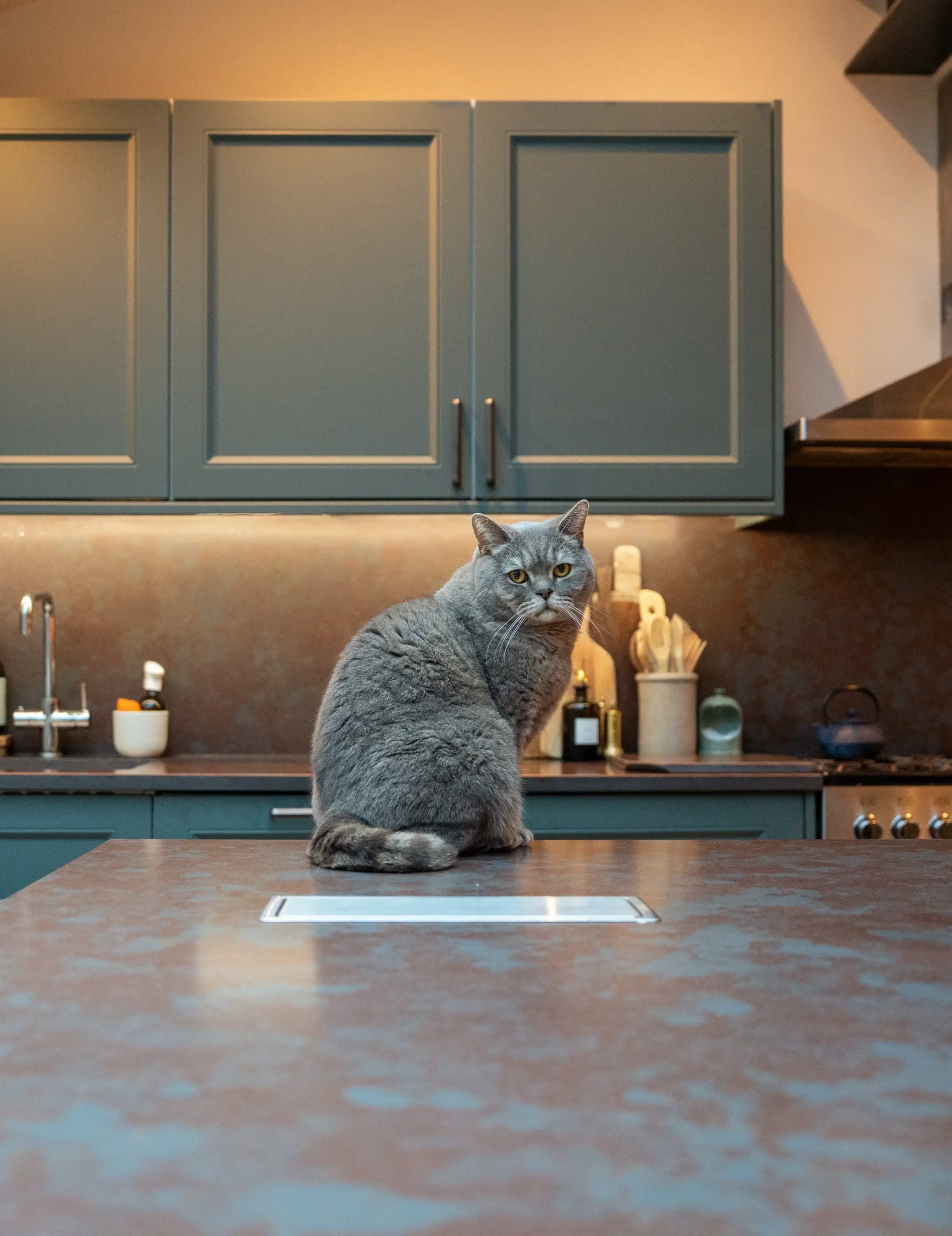 Iron Ore worktop showing brown marble-effect veining