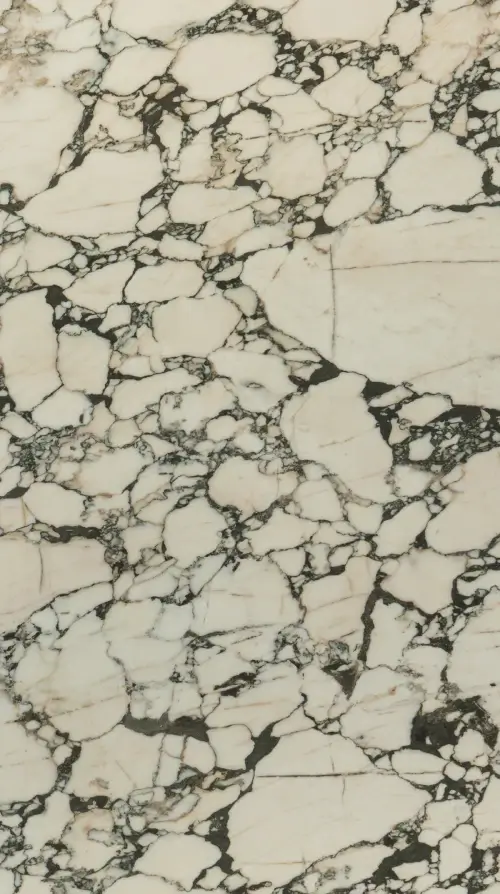Calacatta Monet Slab