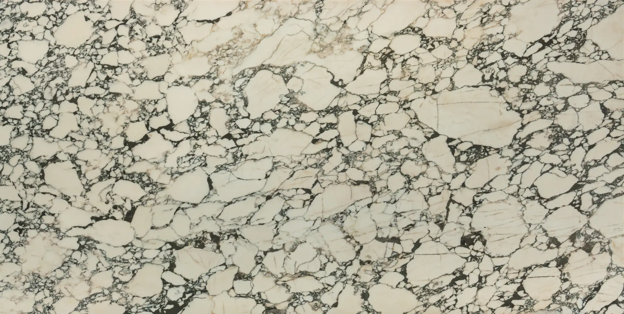 Calacatta Monet Slab