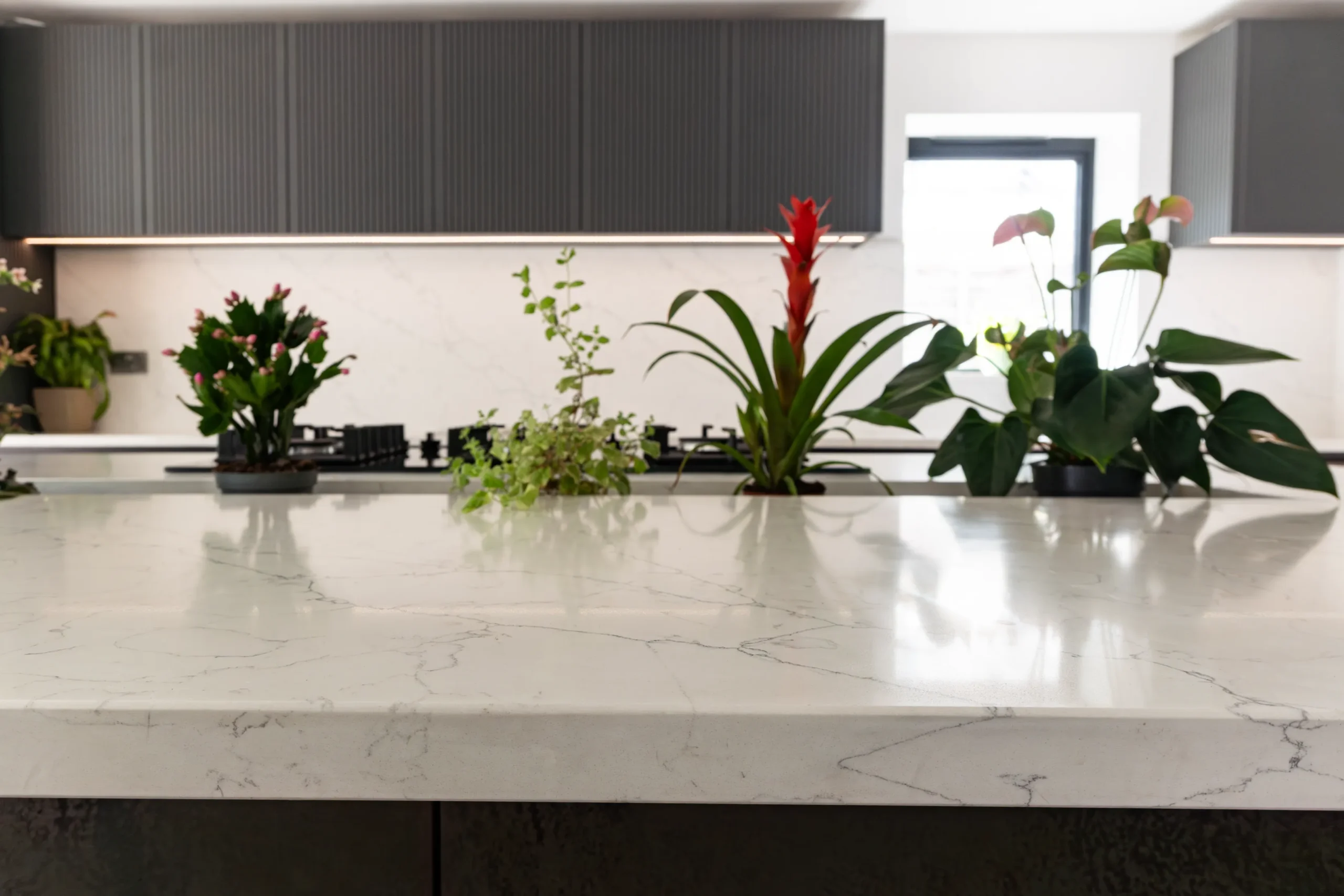 Alaska worktop showing white veining