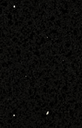 Black Sparkle