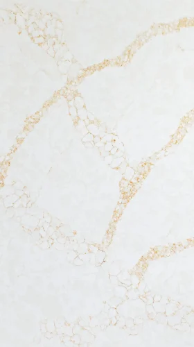 Calacatta Gold Superior DP