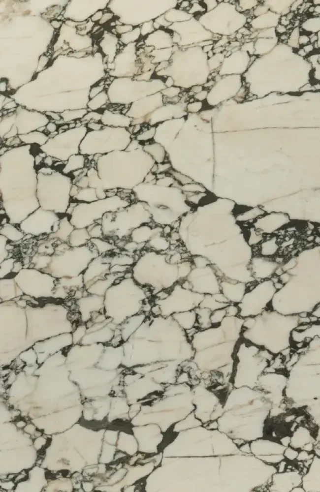 Calacatta Monet Slab