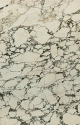 Calacatta Monet Slab
