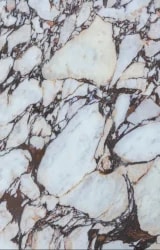 Calacatta Viola