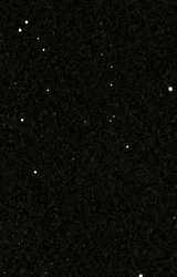 Midnight Starburst