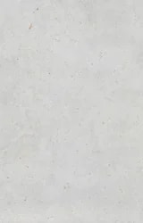 Polar DP