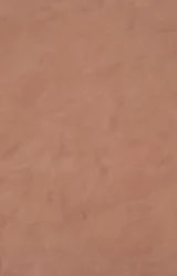 Umber DP