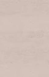 Danae Dekton worktop surface with warm beige tone
